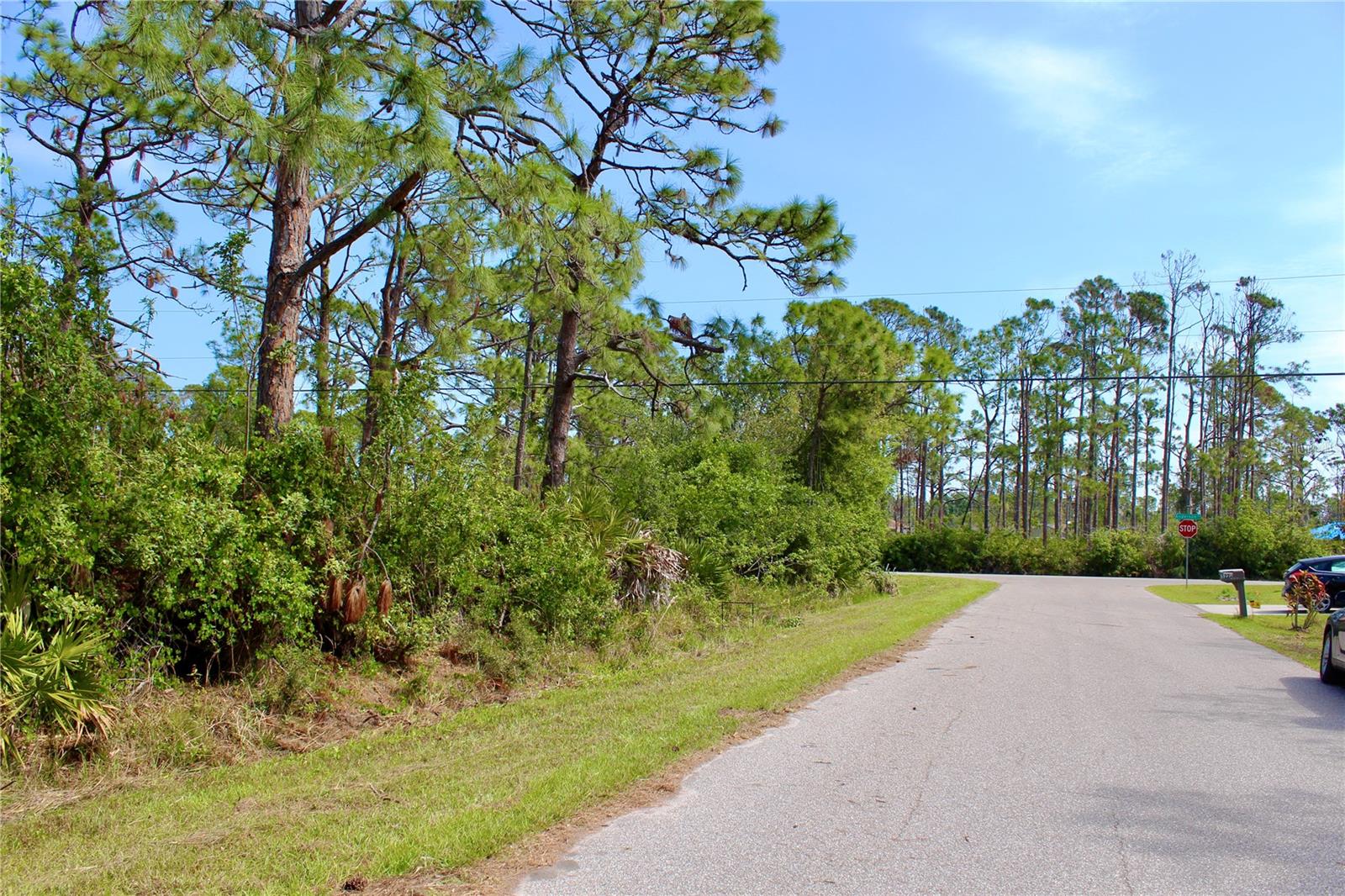 5237 Chaney Ter Property Photo 6