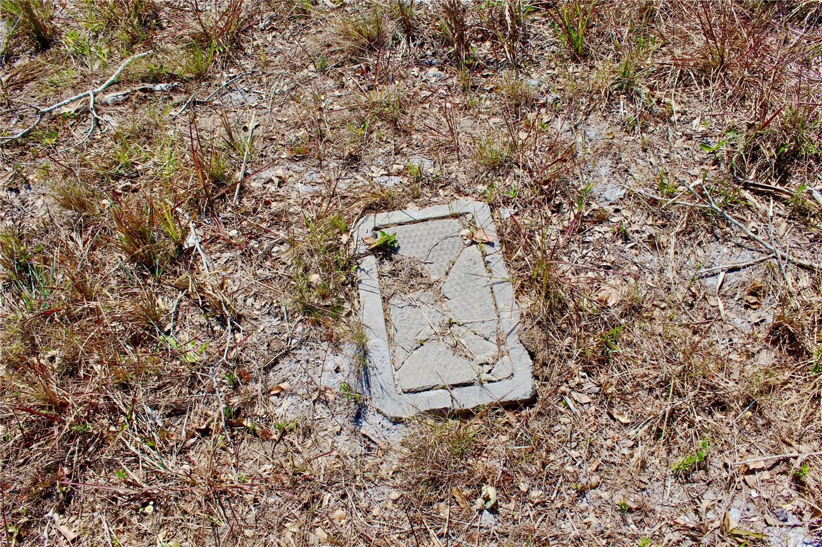 7 Wake Ct Property Photo 5