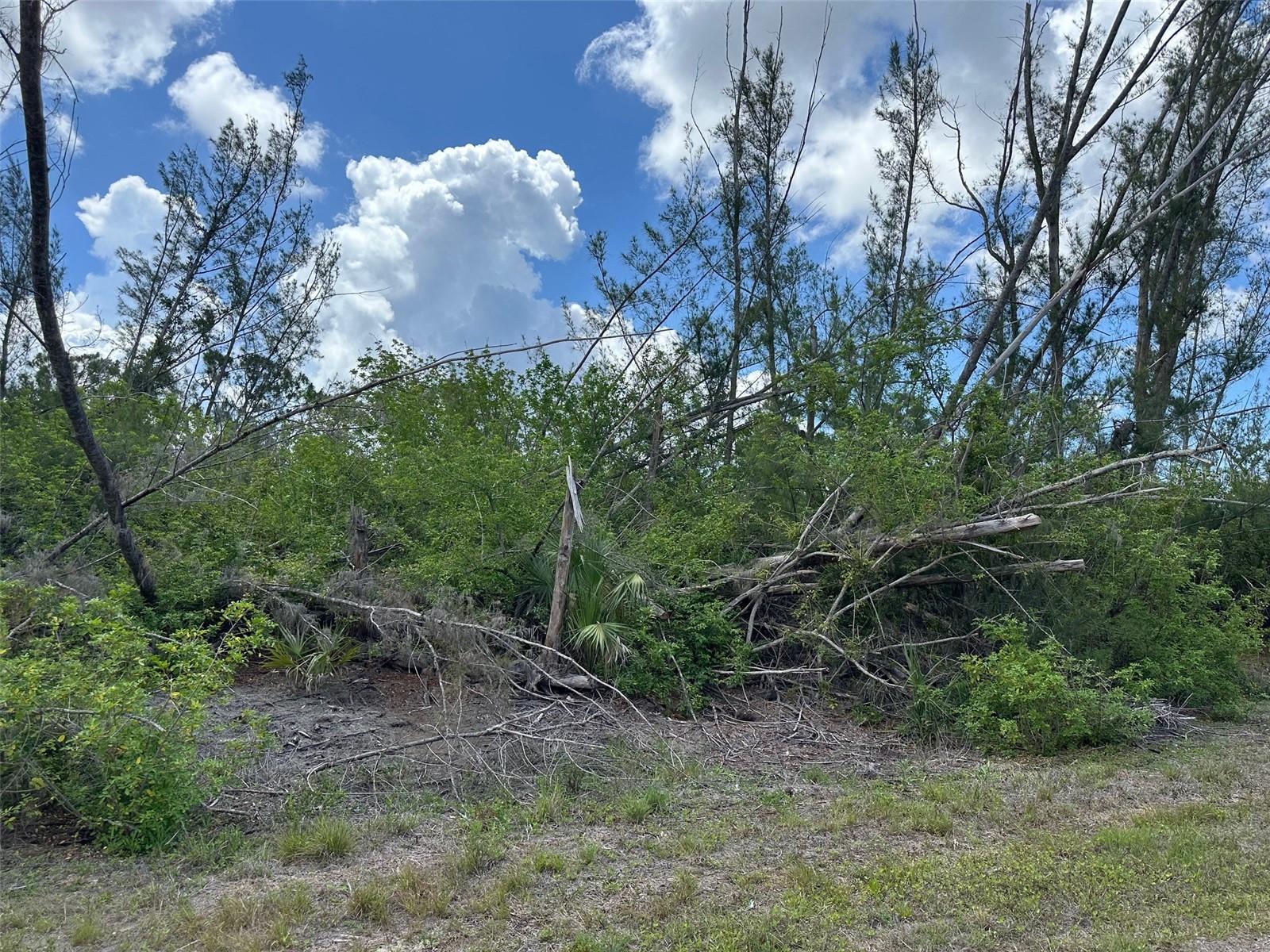 10792 Hatchet Cir Property Photo 1