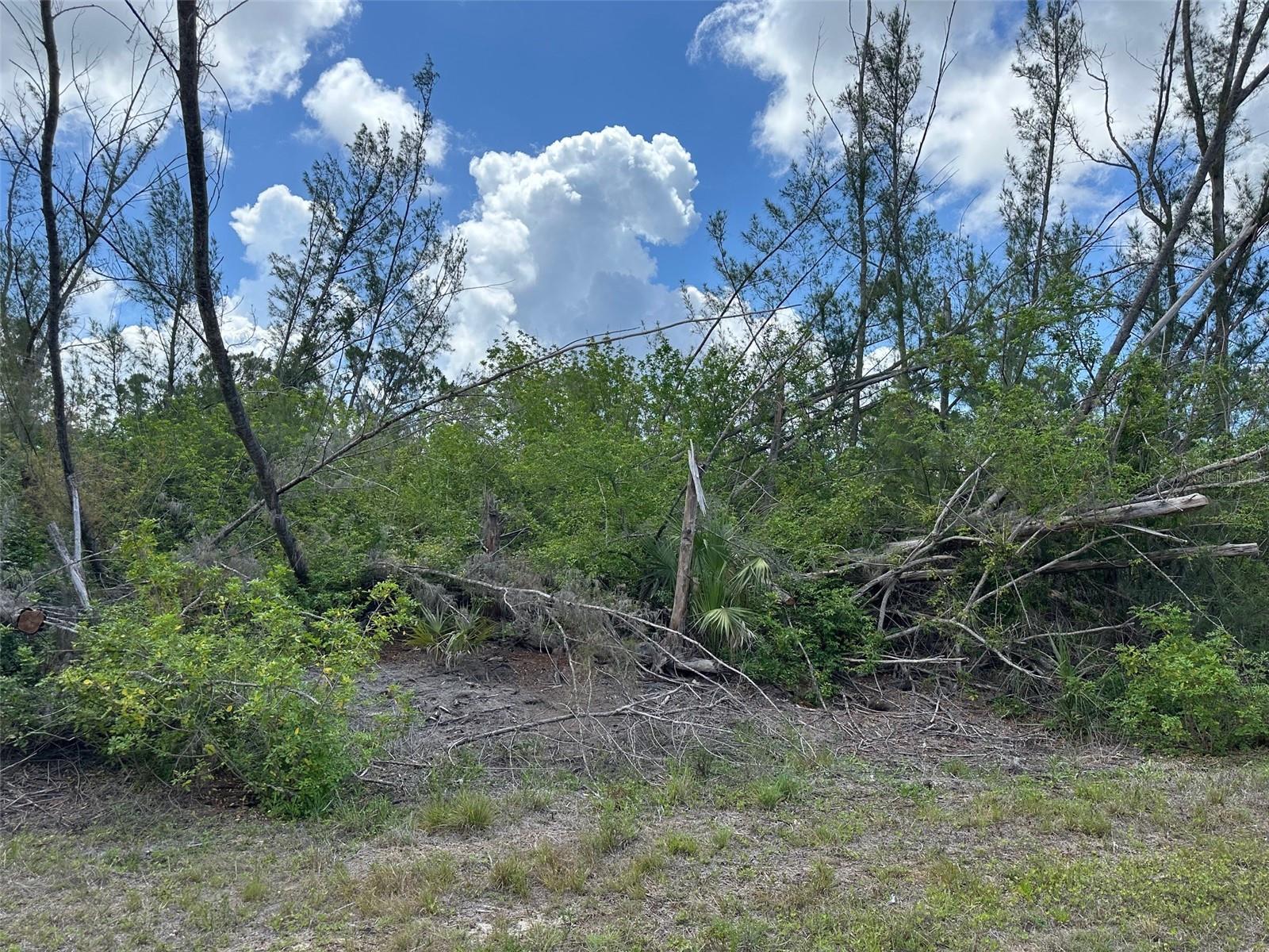 10792 Hatchet Cir Property Photo 2