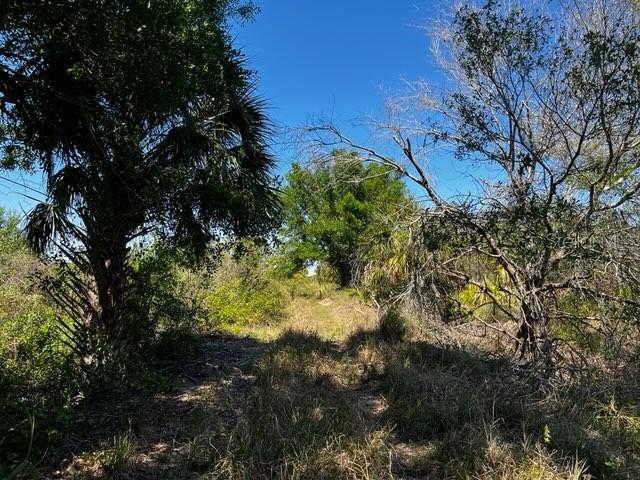 5151 Chiquita Dr Property Photo 8