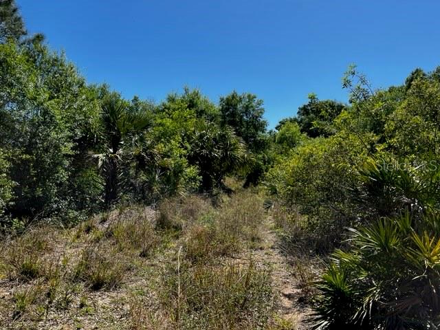 5151 Chiquita Dr Property Photo 9