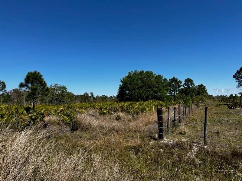 5151 Chiquita Dr Property Photo 10
