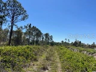 5151 Chiquita Dr Property Photo 11