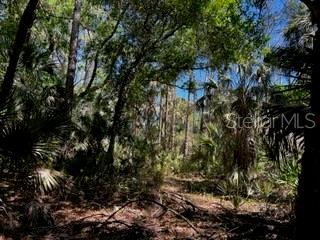 5151 Chiquita Dr Property Photo 15
