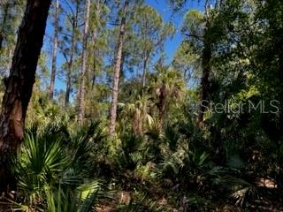 5151 Chiquita Dr Property Photo 17