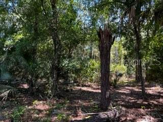 5151 Chiquita Dr Property Photo 18