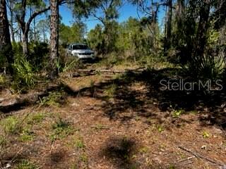 5151 Chiquita Dr Property Photo 19