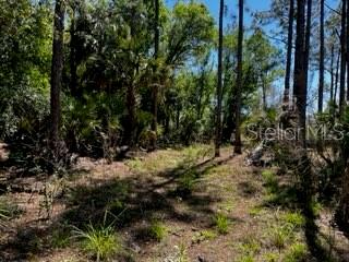 5151 Chiquita Dr Property Photo 20