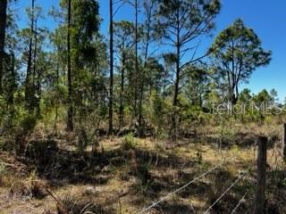 5151 Chiquita Dr Property Photo 21
