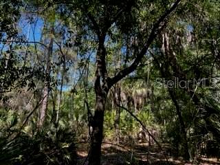 5151 Chiquita Dr Property Photo 22