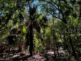 5151 Chiquita Dr Property Photo 23