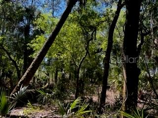 5151 Chiquita Dr Property Photo 24