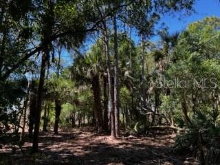 5151 Chiquita Dr Property Photo 25