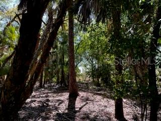5151 Chiquita Dr Property Photo 26