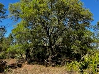 5151 Chiquita Dr Property Photo 29