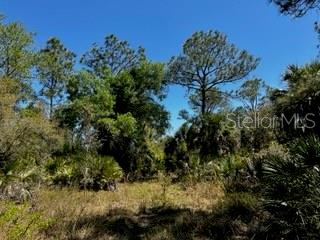 5151 Chiquita Dr Property Photo 31