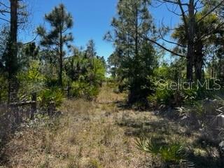 5151 Chiquita Dr Property Photo 33