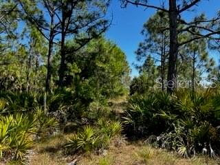 5151 Chiquita Dr Property Photo 34