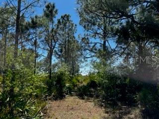 5151 Chiquita Dr Property Photo 35