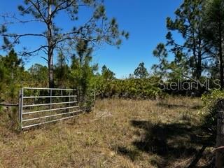 5151 Chiquita Dr Property Photo 36