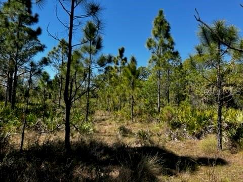 5151 Chiquita Dr Property Photo 37