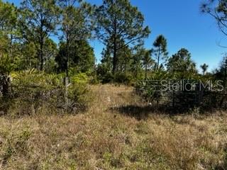 5151 Chiquita Dr Property Photo 38