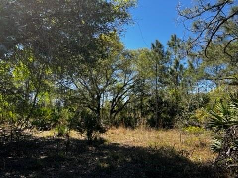 5151 Chiquita Dr Property Photo 39