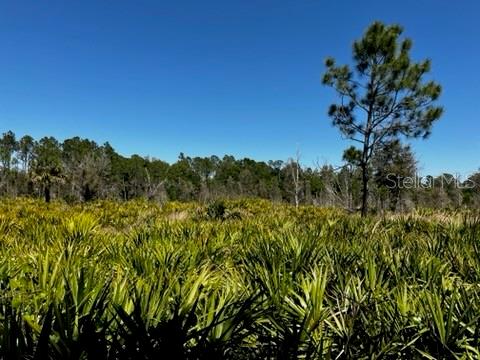 5151 Chiquita Dr Property Photo 40