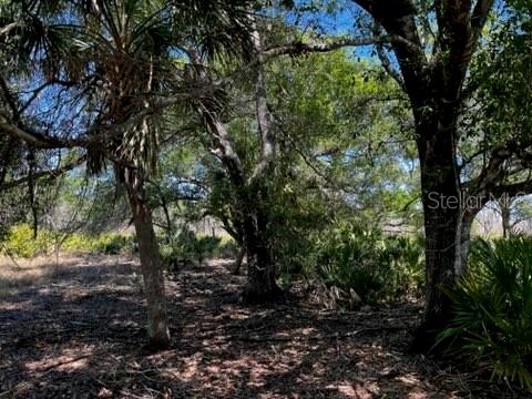 5151 Chiquita Dr Property Photo 42