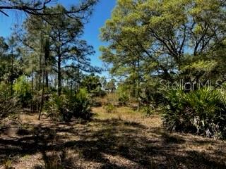 5151 Chiquita Dr Property Photo 43
