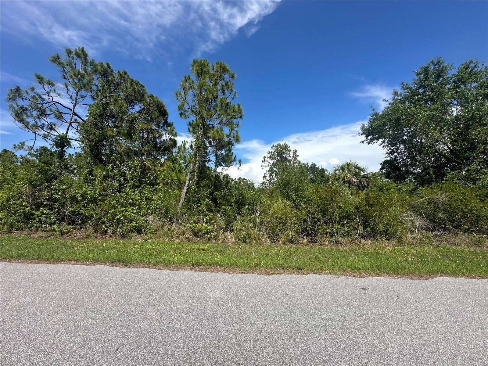 2392 Salerno St Property Photo 2