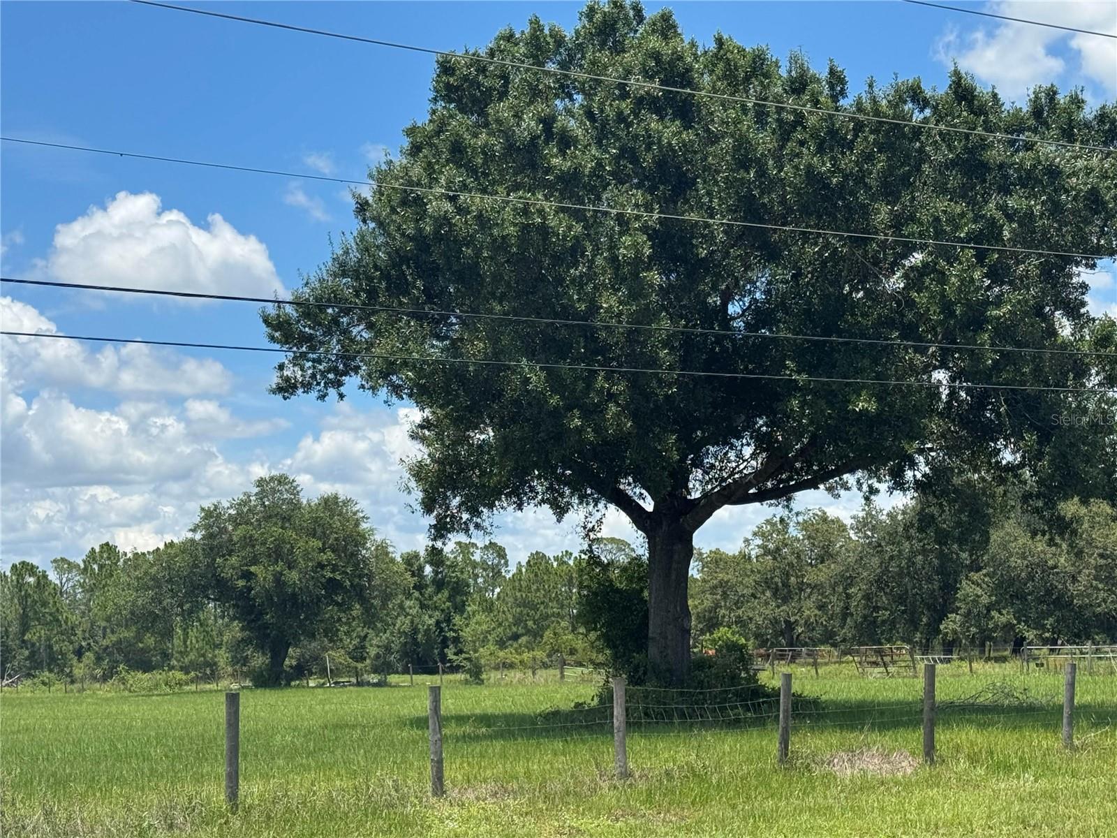 Lot 12 Tropicaire Blvd Property Photo 2