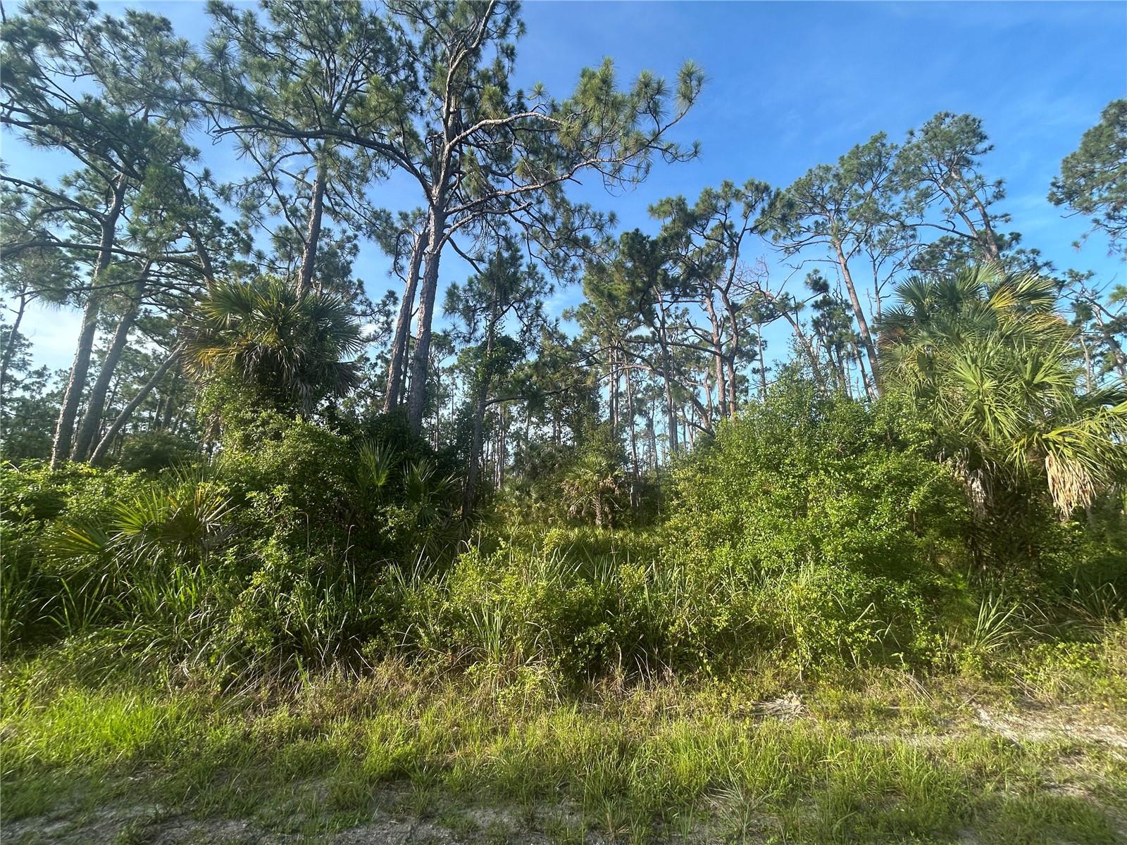 18157 Wakashan Ave Property Photo 3