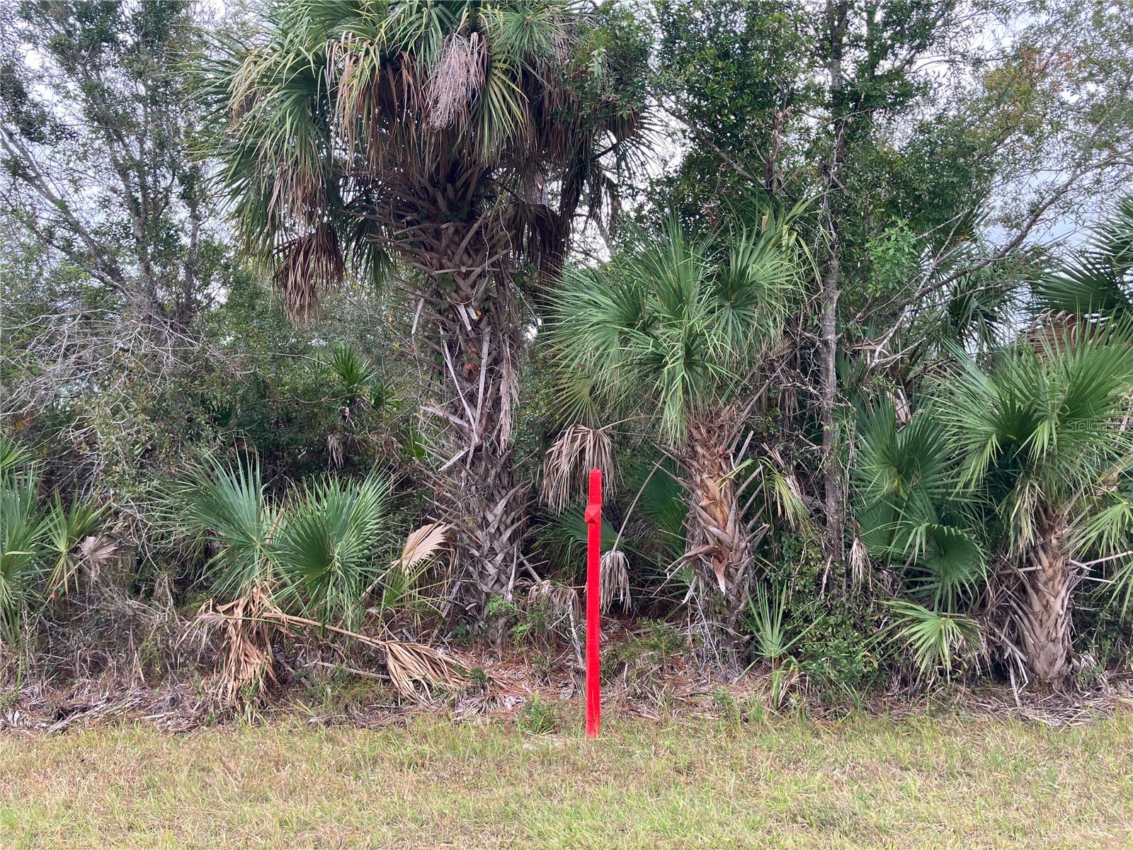 4363 SCHNEIDER ST Property Photo 1