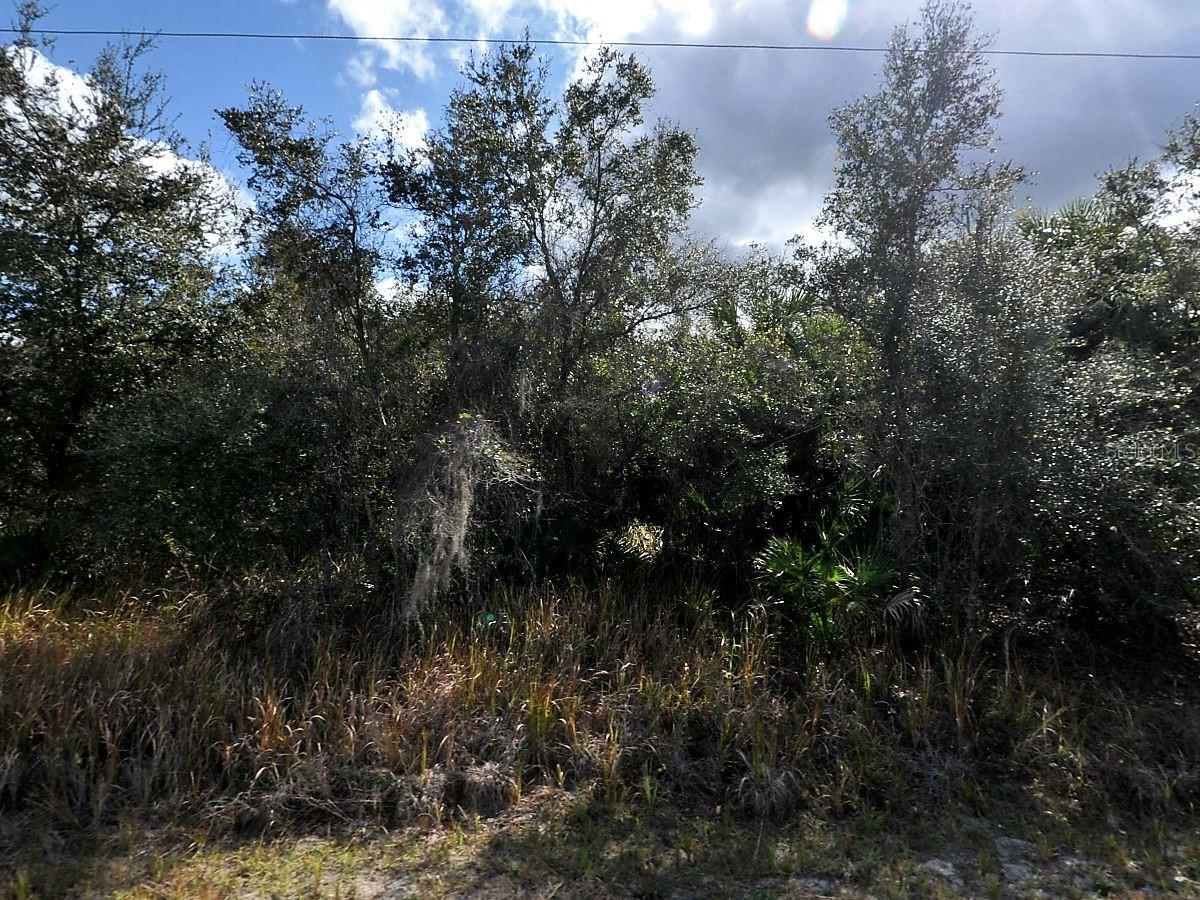Lot 31 Casco Cir Property Photo 2