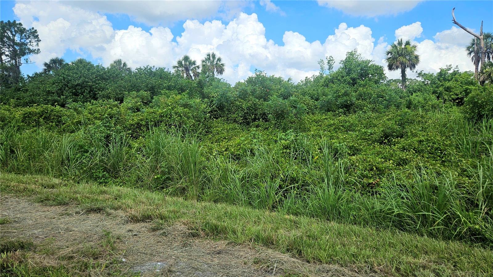 Custer Lot #25 Cir Property Photo 2