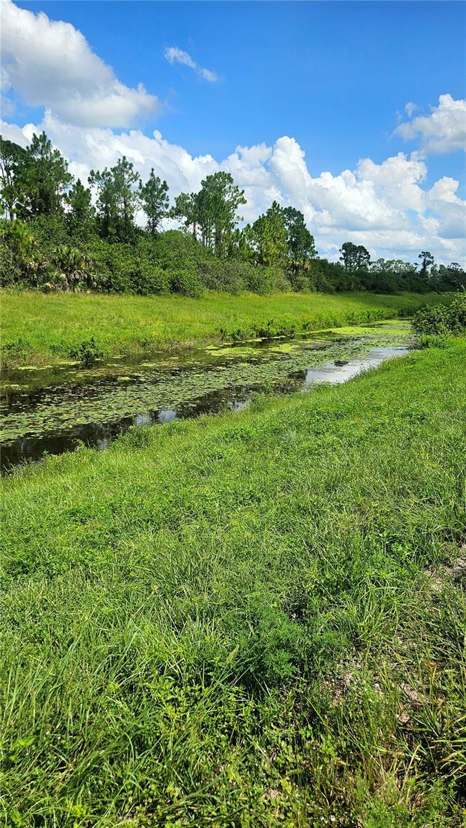 Custer Lot #25 Cir Property Photo 3