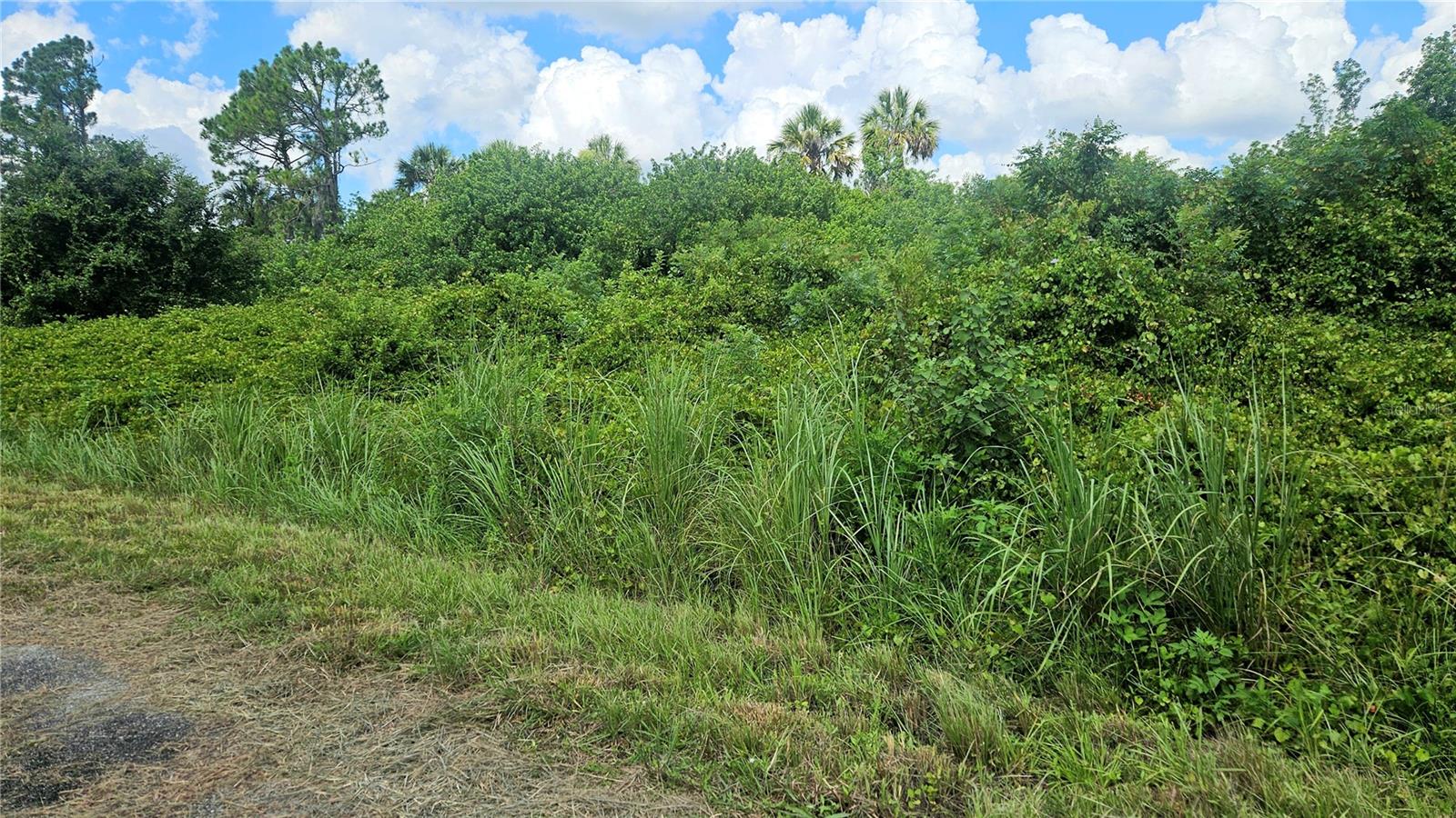Custer Lot #25 Cir Property Photo 5