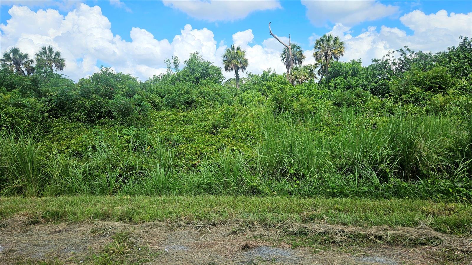 Custer Lot #25 Cir Property Photo 6