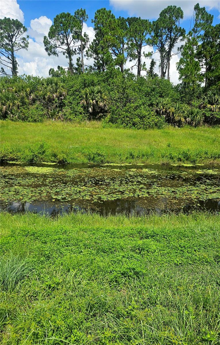 Custer Lot #25 Cir Property Photo 7