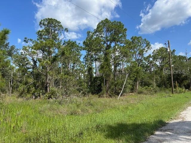 13036 Apache Dr Property Photo 3