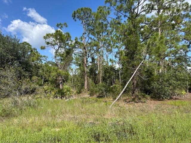 13036 Apache Dr Property Photo 4