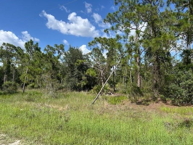 13036 Apache Dr Property Photo 7