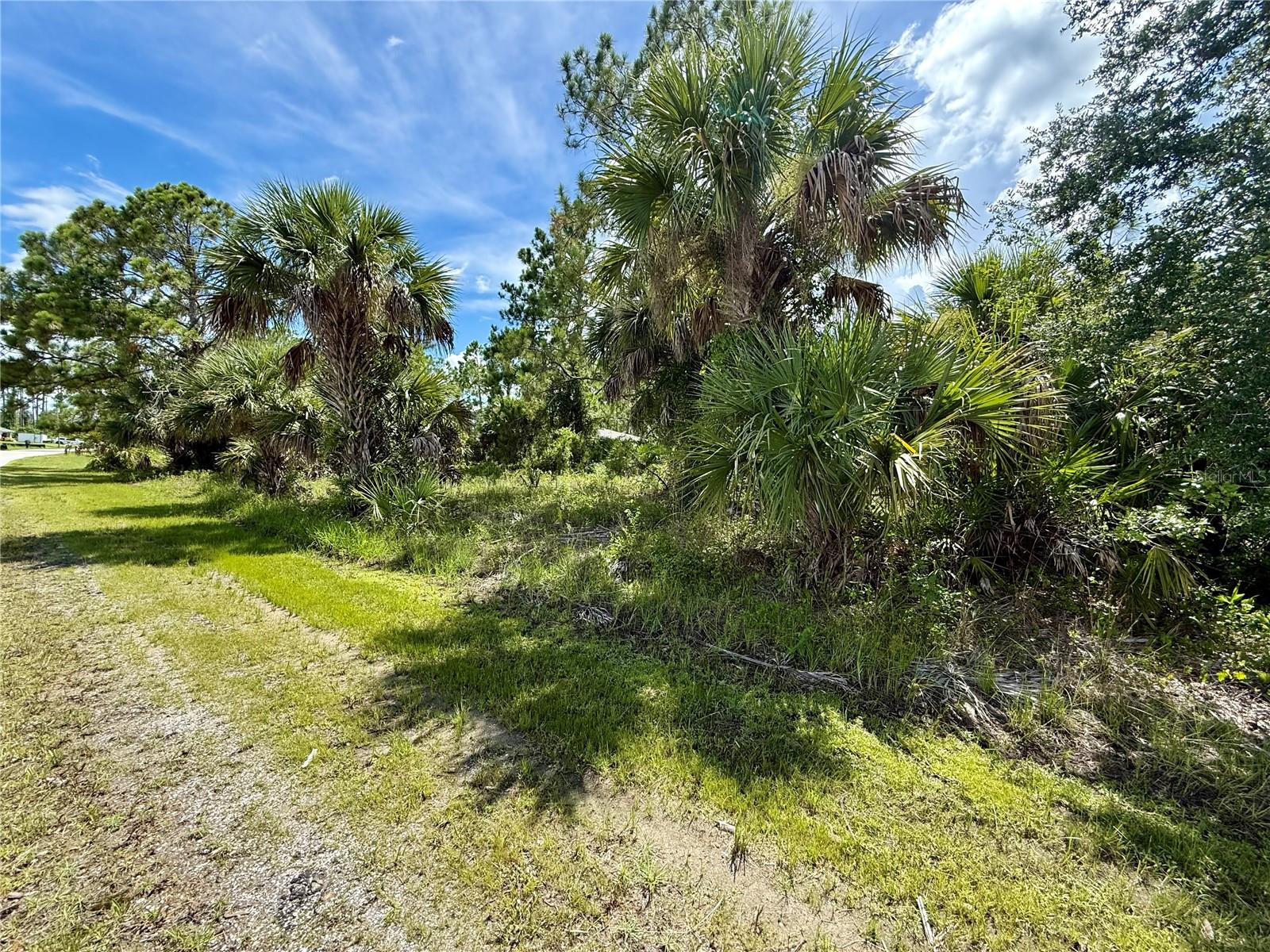 Kabbaby St Property Photo 3