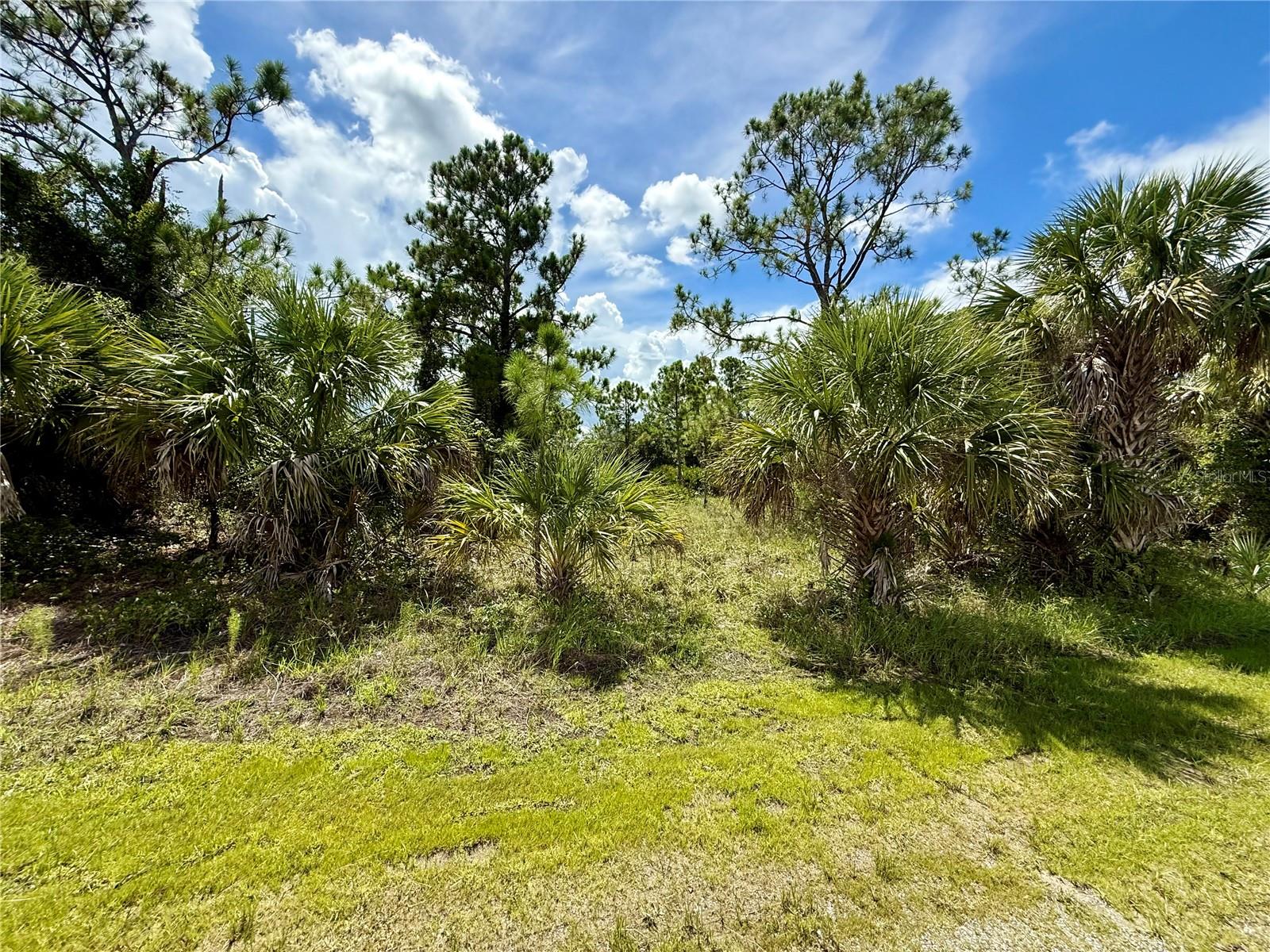 Kabbaby St Property Photo 6