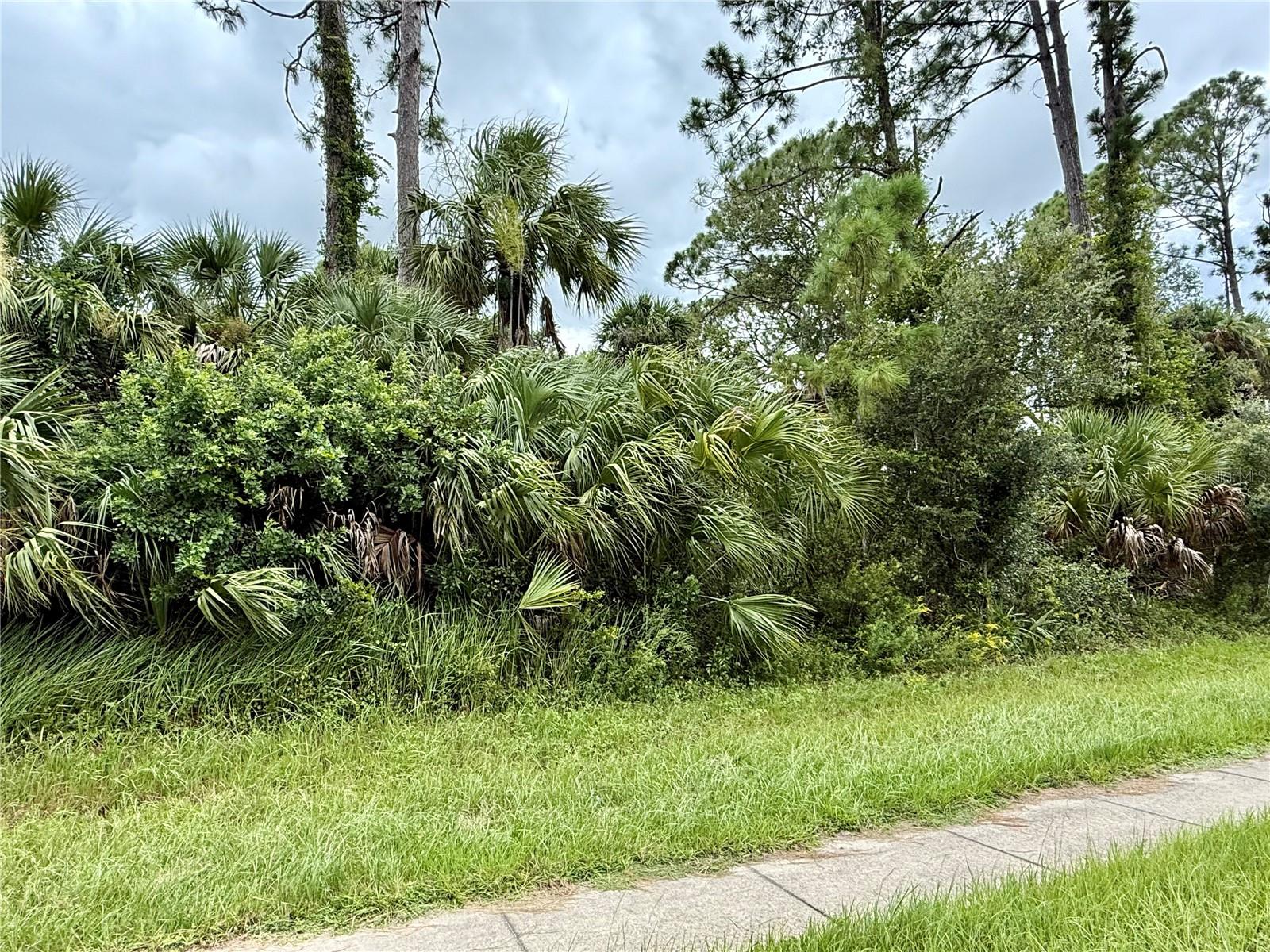 Nordendale Blvd Property Photo 1