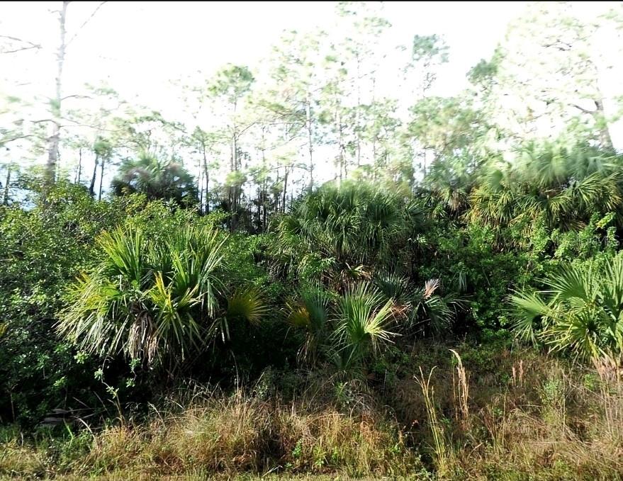 Blueleaf Dr Property Photo 2