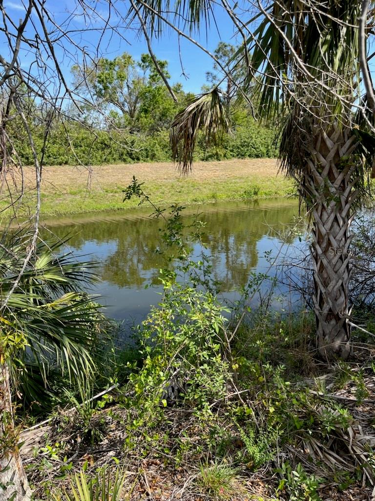 Lot 54 & 55 Newman Dr Property Photo 2