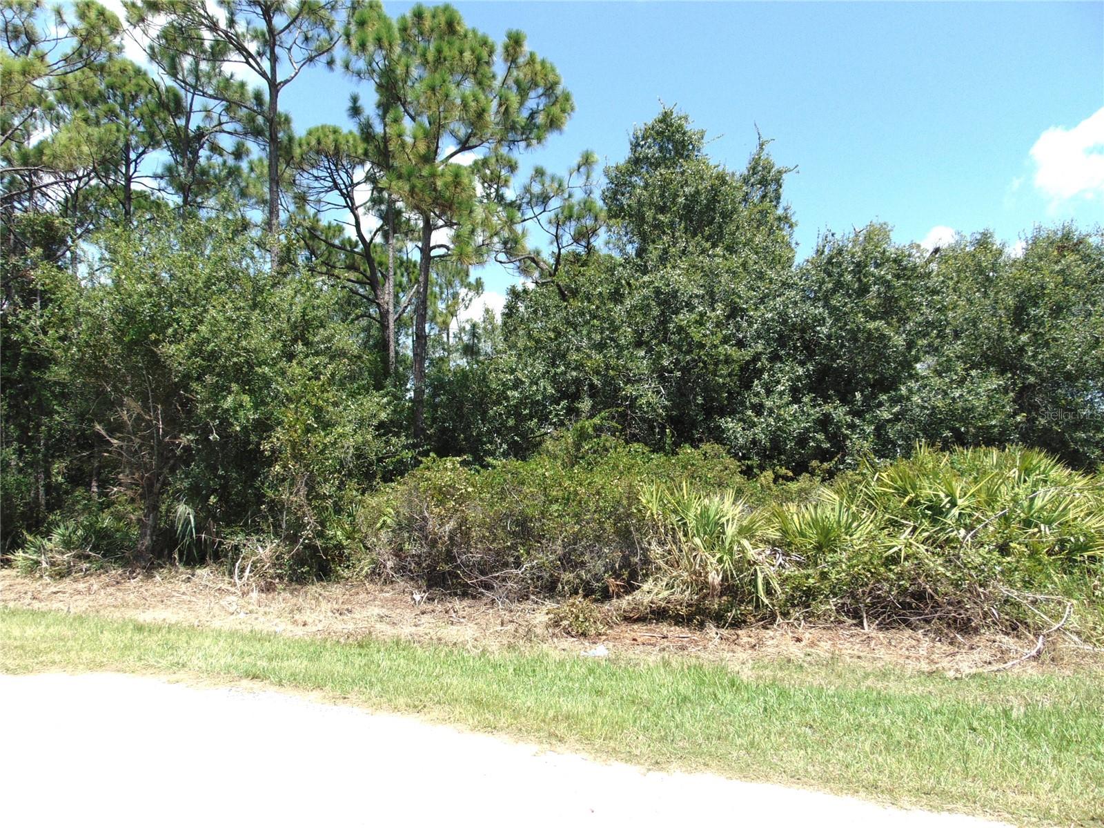 23376 CORINNE AVE Property Photo 1